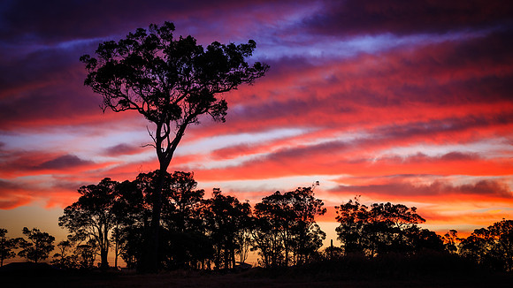 WA Sunset