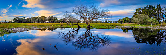 Pond near Cowaramup, Western Australia
