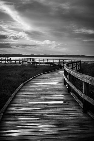 Lake Clifton Boardwalk I