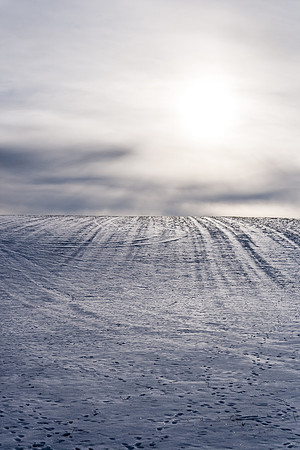 Frozen Land