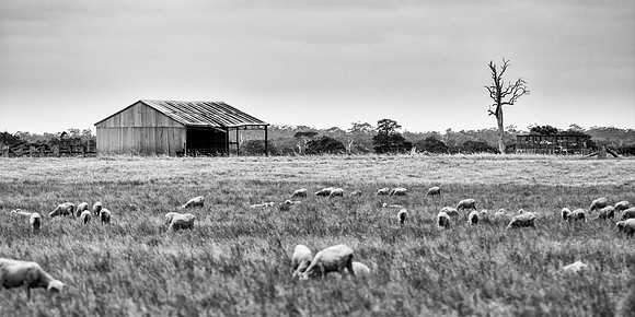 Farm shed near Margaret River