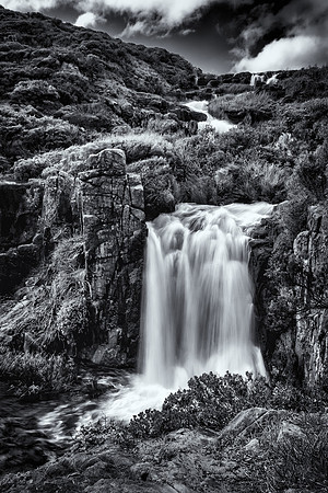 Quinninup Falls, B/W