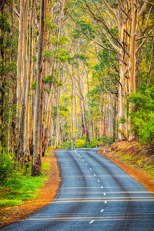 Old Karridale, Western Australia