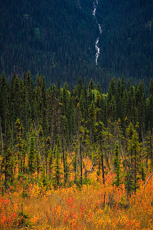 Fall colors, BC, Canada
