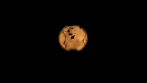 Supermoon 2015