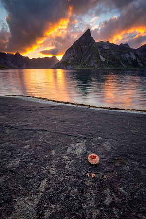 Lille Toppøya II
