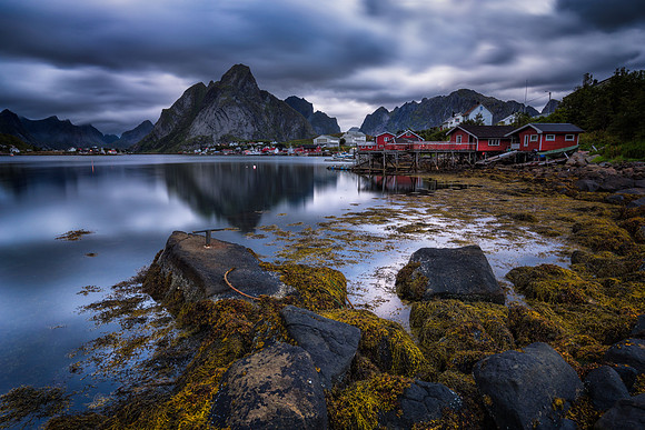 Reine, Lofoten